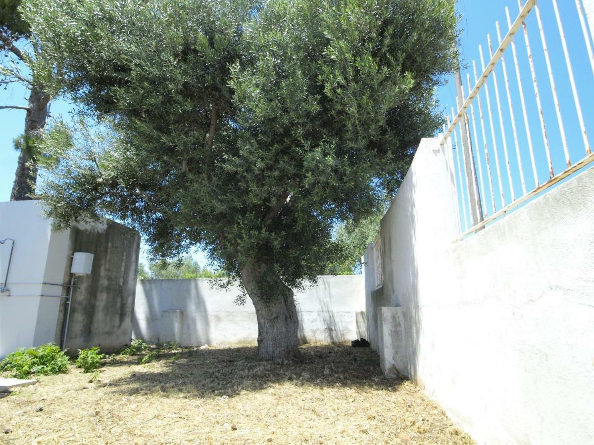 Happy Hostel For Young Polignano a Mare Exterior photo